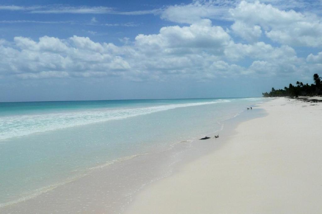 Casa Pelicanos Tulum Beach Mx - Next To Hotel Zone Ngoại thất bức ảnh